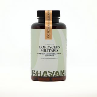 Cordyceps